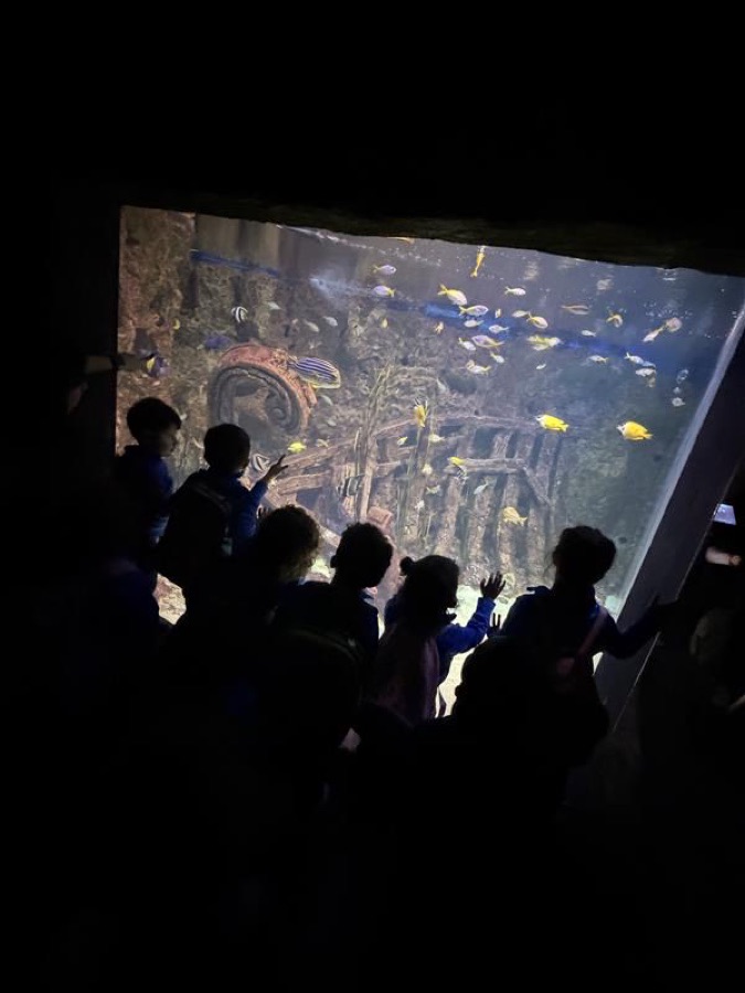 Children silhouetted against a large aquarium tank