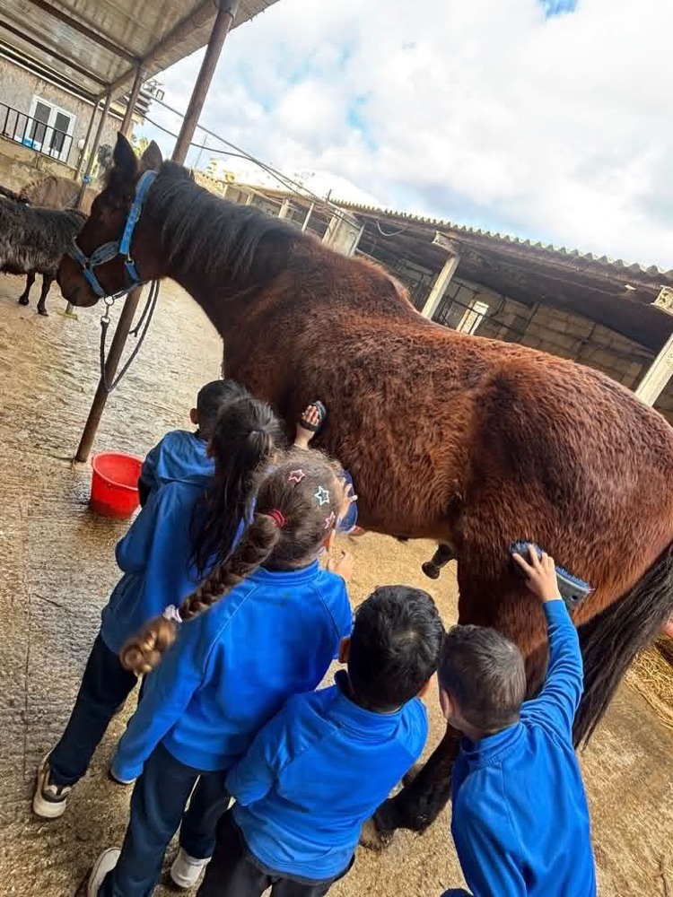 Children stroking a horse on a farm visit