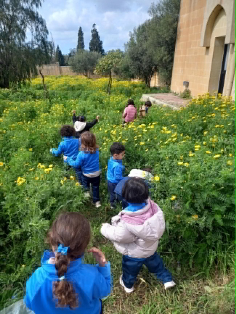 Kindergarten children in blue uniforms walking through a field of yellow flowers